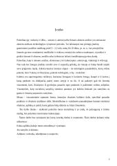 Paleolito menas 3 puslapis