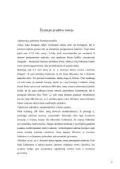 Paleolito menas 4 puslapis