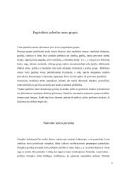 Paleolito menas 9 puslapis