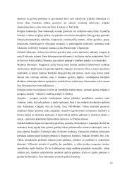 Paleolito menas 10 puslapis