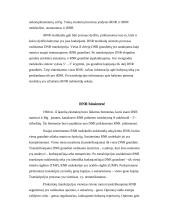 RNR biosintezė 3 puslapis