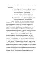 RNR biosintezė 4 puslapis