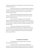 RNR biosintezė 6 puslapis