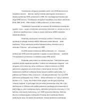 RNR biosintezė 7 puslapis