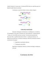 RNR biosintezė 8 puslapis