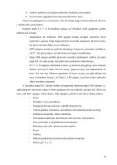 Vežamų krovinių draudimas 12 puslapis