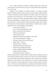 Vežamų krovinių draudimas 13 puslapis