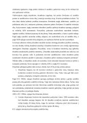 Vežamų krovinių draudimas 14 puslapis