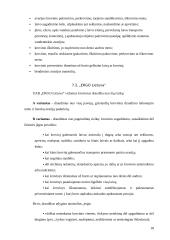 Vežamų krovinių draudimas 18 puslapis