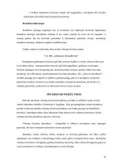 Vežamų krovinių draudimas 19 puslapis