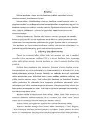 Vežamų krovinių draudimas 3 puslapis