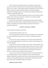 Vežamų krovinių draudimas 5 puslapis