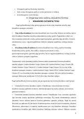 Vežamų krovinių draudimas 6 puslapis