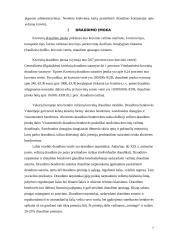 Vežamų krovinių draudimas 7 puslapis