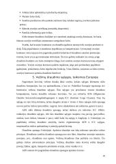 Vežamų krovinių draudimas 10 puslapis