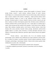 Narkotiniai ir nenarkotiniai analgetikai 3 puslapis