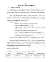 Maitinimo įtaka kūdikių išsivystimui 3 puslapis