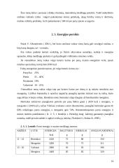 Mokyklinio amžiaus vaikų mitybos svarba 7 puslapis