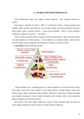 Mokyklinio amžiaus vaikų mitybos svarba 8 puslapis