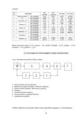 Betoninių gaminių gamybos technologija 14 puslapis