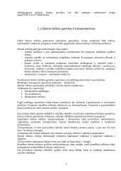Betoninių gaminių gamybos technologija 3 puslapis