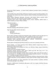 Betoninių gaminių gamybos technologija 4 puslapis