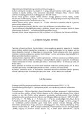 Betoninių gaminių gamybos technologija 5 puslapis