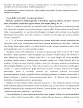 Kultūros paveldas ir paveldosauga 13 puslapis