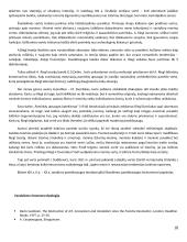 Kultūros paveldas ir paveldosauga 18 puslapis