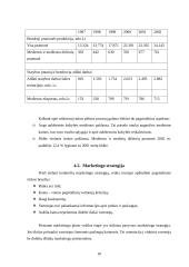 Įmonės marketingo tobulinimas: UAB "Lietmedis" 18 puslapis