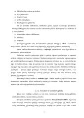 Įmonės marketingo tobulinimas: UAB "Lietmedis" 7 puslapis