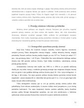 Pensijinis draudimas 11 puslapis