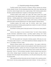 Pensijinis draudimas 12 puslapis