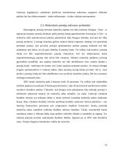 Pensijinis draudimas 13 puslapis