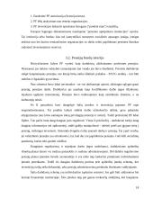 Pensijinis draudimas 17 puslapis