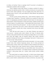 Pensijinis draudimas 19 puslapis