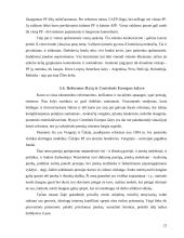 Pensijinis draudimas 20 puslapis