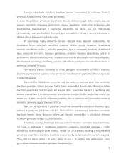 Pensijinis draudimas 4 puslapis