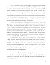 Pensijinis draudimas 5 puslapis