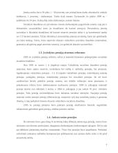 Pensijinis draudimas 6 puslapis