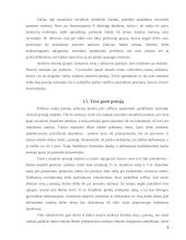 Pensijinis draudimas 7 puslapis