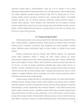 Pensijinis draudimas 8 puslapis