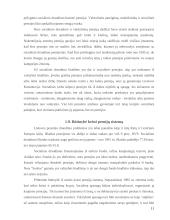 Pensijinis draudimas 10 puslapis