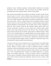 Savivaldos sistema 11 puslapis