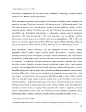 Savivaldos sistema 12 puslapis