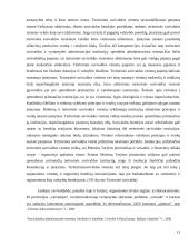 Savivaldos sistema 13 puslapis