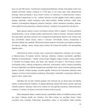 Savivaldos sistema 14 puslapis