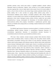 Savivaldos sistema 15 puslapis