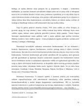 Savivaldos sistema 16 puslapis