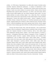 Savivaldos sistema 17 puslapis